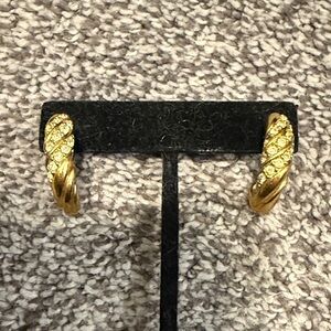 Elegant Gold Twisted Hoop Earrings